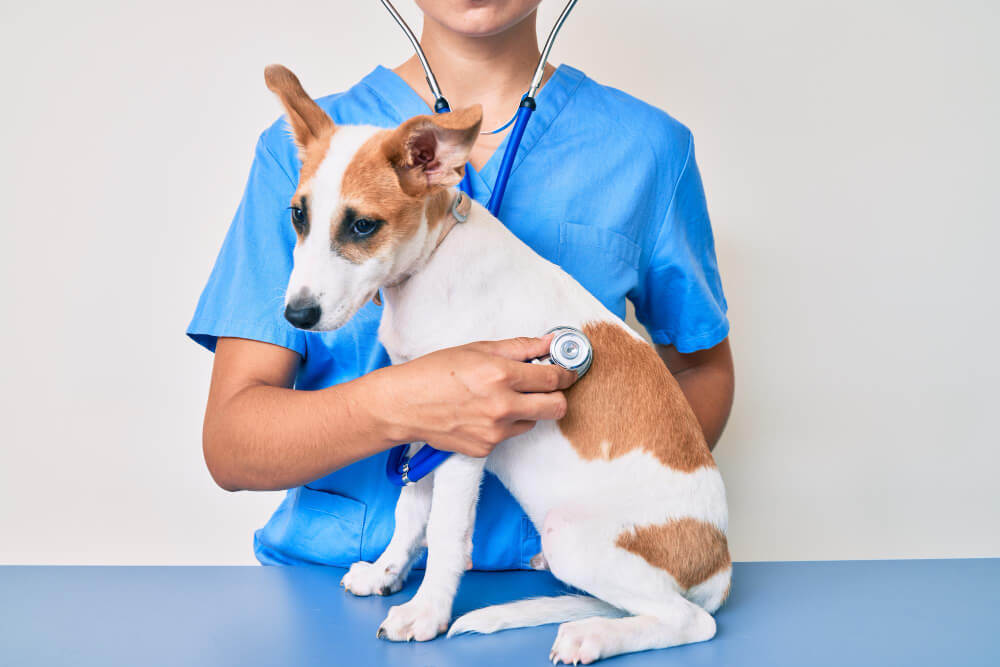Preventative Care Daly City, CA